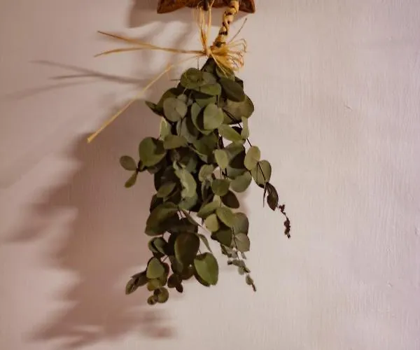 Graciosa Family House بيت للعطل سانتا كروز دا جراسيوسا