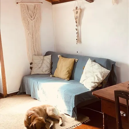 Holiday home Graciosa Family House *