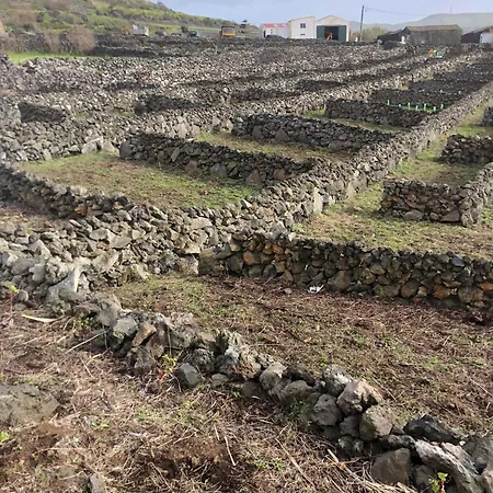 Graciosa Family House *