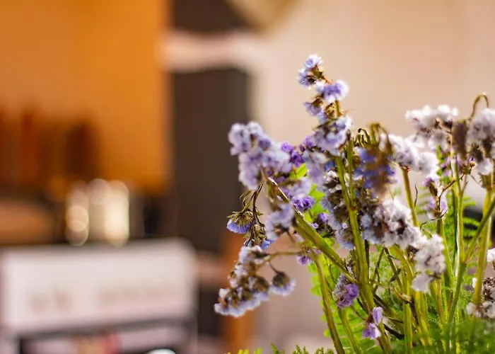 Graciosa Family House *